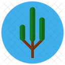 Árbol  Icono