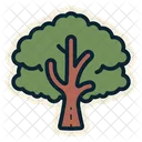 Árbol  Icono