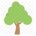 Árbol  Icono