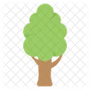 Árbol  Icono