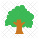 Árbol  Icon