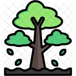 Árbol  Icono