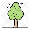 Árbol  Icono