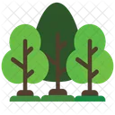 Arbol Naturaleza Planta Icon