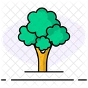 Arbol Naturaleza Planta Icon