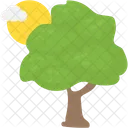 Árbol  Icon