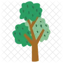 Arbol Ecologia Planta Icono