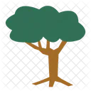 Árbol  Icono