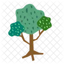 Arbol Ecologia Planta Icono