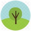 Arbol Verdor Icono