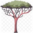 Árbol de áfrica  Icono