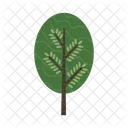 Arbol Naturaleza Planta Icon