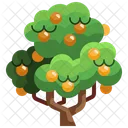 Árbol de mango  Icon