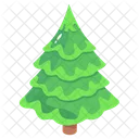 Picea Arbol De Navidad Abeto Icono