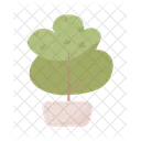 Árbol decorativo en maceta  Icono