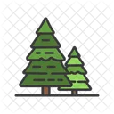 Arbol De Hoja Perenne Arbol De Hoja Perenne Pino Icono
