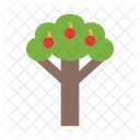 Arbol Frutal Arbol Naturaleza Icono