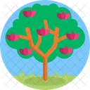 Arbol Frutal Patio Jardin Icono