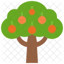 Árbol de frutas  Icono