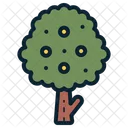 Arbol Frutal Arbol Jardin Icono