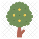 Arbol Frutal Arbol Jardin Icono