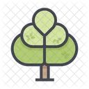 Arbol Grafico Arbol Planta Icono