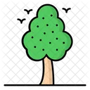 Arbol Icono