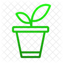 Linea Icono