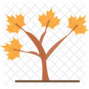 Árbol de otoño  Icono