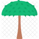 Arbol Paraguas Icono