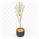 Planta Arbol Decorativo Icono