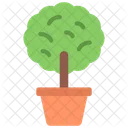 Planta de arbol  Icono