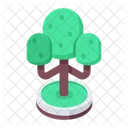 Arboles Arbol De Juego Arboles De Jardin Icono