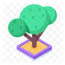Arboles Arbol De Juego Arboles De Jardin Icono