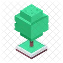 Arboles Arbol De Juego Arboles De Jardin Icono