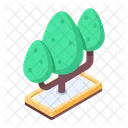 Arboles Arbol De Juego Arboles De Jardin Icono