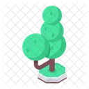 Arboles Arbol De Juego Arboles De Jardin Icono