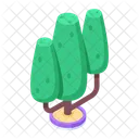 Arboles Arbol De Juego Arboles De Jardin Icono