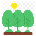 Arboles Plantas Naturaleza Icono