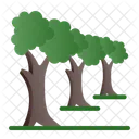 Arboles Bosque Arbol Icono