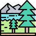 Arboles Arbol Bosque Icon