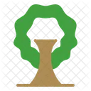Los Arboles Ecologia Bosque Icono