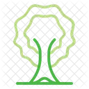 Los Arboles Ecologia Bosque Icono