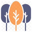 Arboles Arbol Bosque Icono