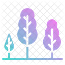 Arboles Bosque Arbol Icono