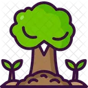 Árboles  Icono