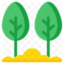 Arboles Plantas Naturaleza Icon