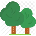 Los Arboles Los Bosques La Naturaleza Icono
