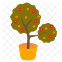 Vector Ilustraciones Ano Nuevo Chino Icono