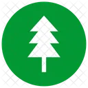 Plante Arbre Sapin Icon